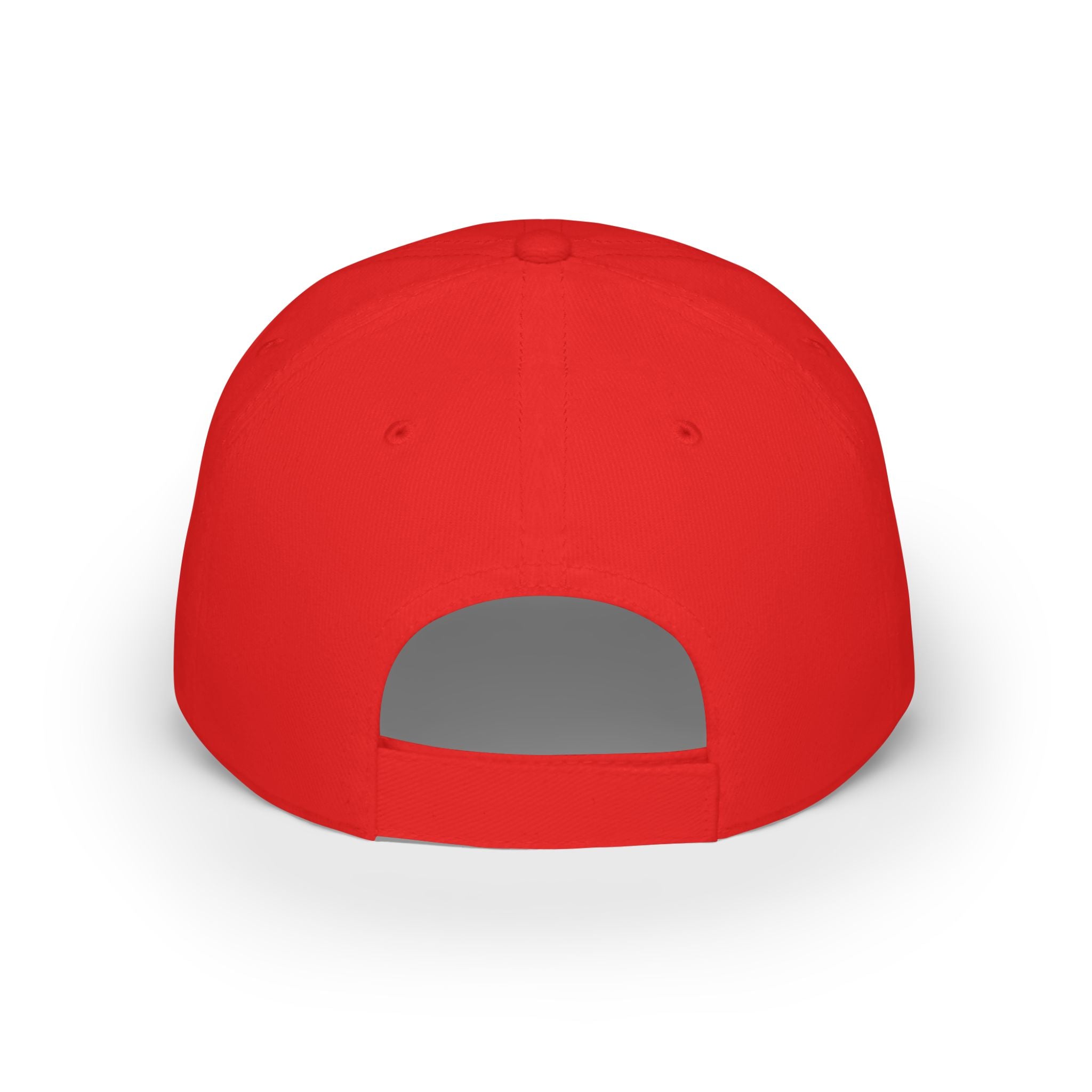 Surfing Grizzly Bear by Fabian Lavater - 100% Cotton Baseball Cap