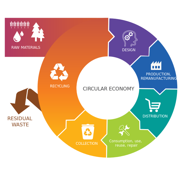 What is the circular economy and why is it important?