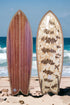 Ventana Fish Taco Surfboard