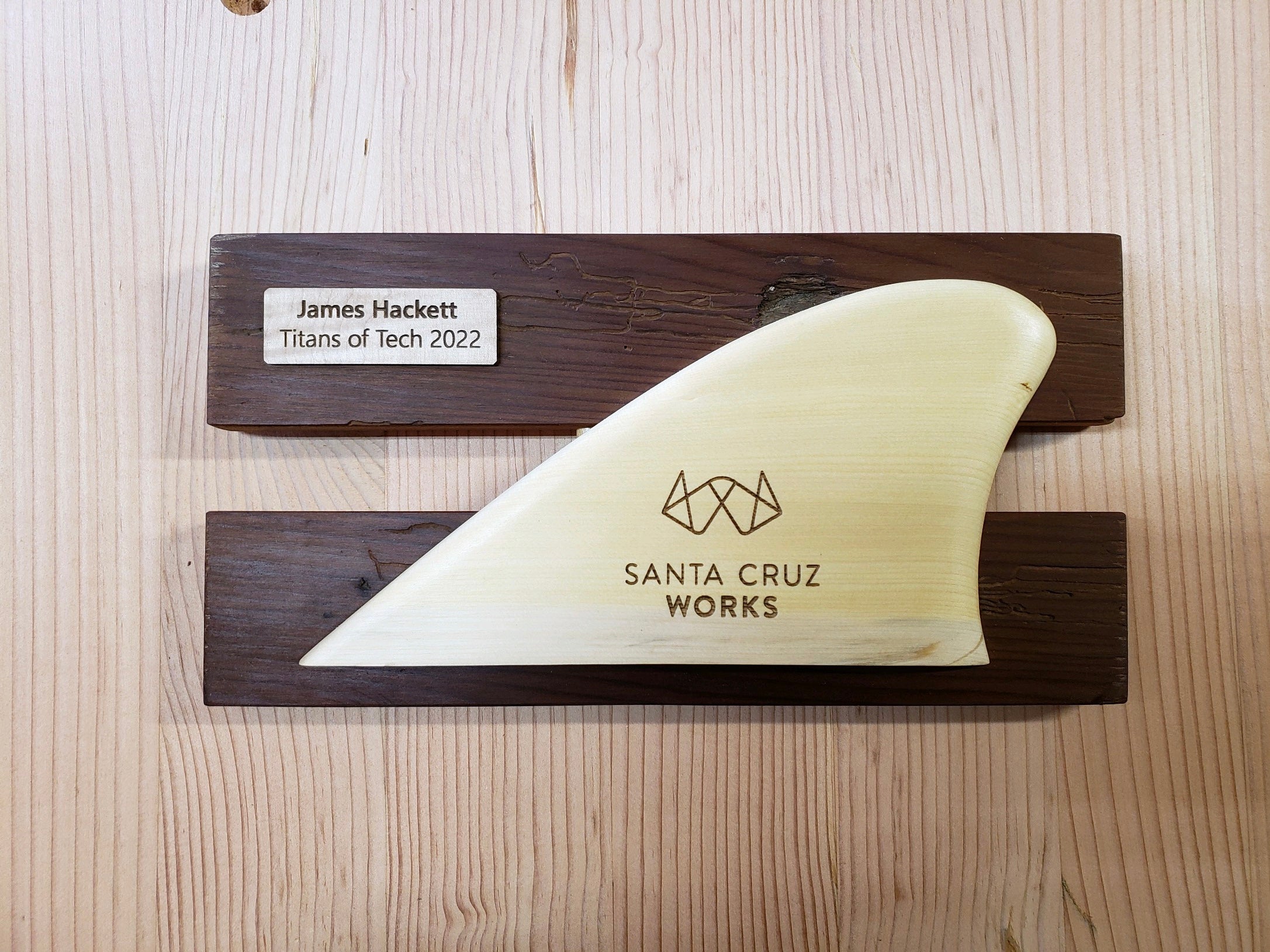 Fins - Santa Cruz Works Titans Of Tech 2022 Awards