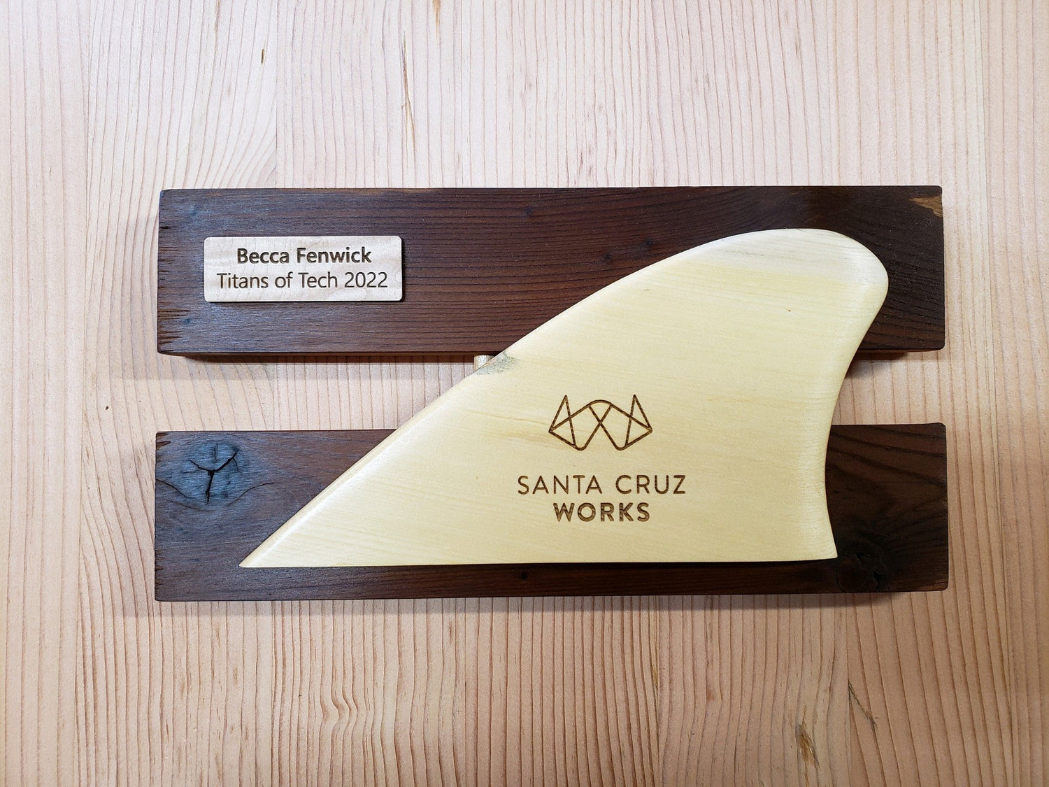 Fins - Santa Cruz Works Titans Of Tech 2022 Awards