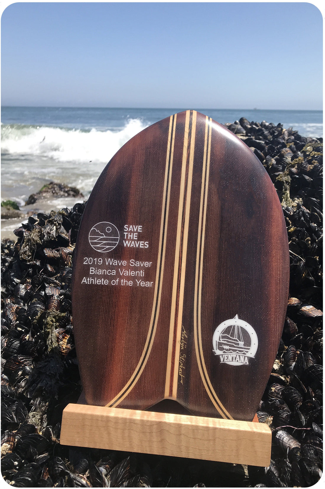 Handplane - Save The Waves &quot;Wave Saver&quot; Award Handplanes