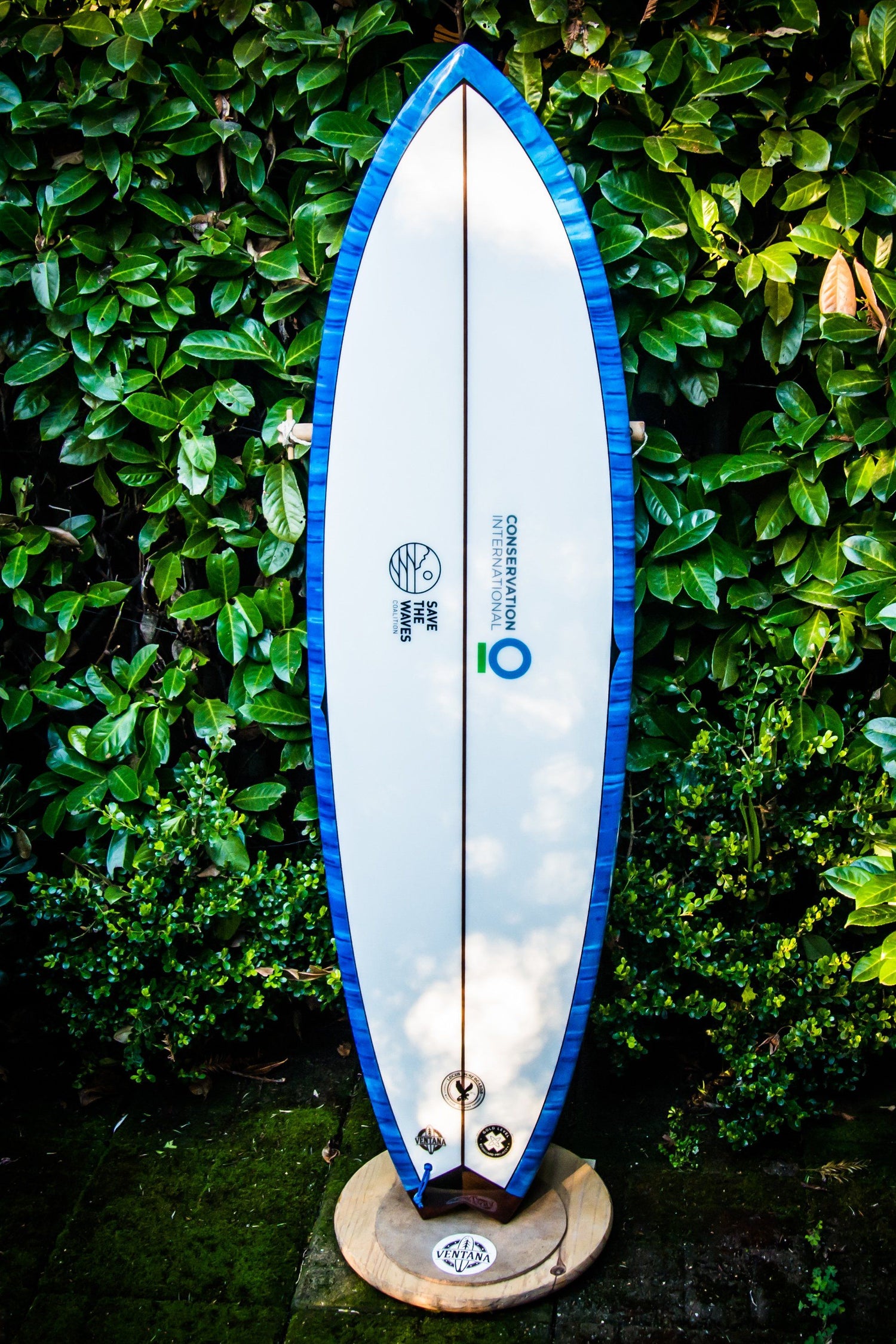 Locus Eco Surfboards - Astro Chimp Swallow Tail 6&