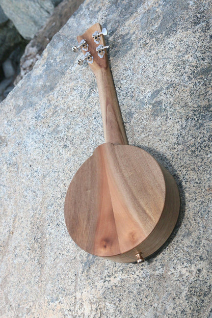 Musical Instrument - Ventana Freya Cooperage Classic Banjolele