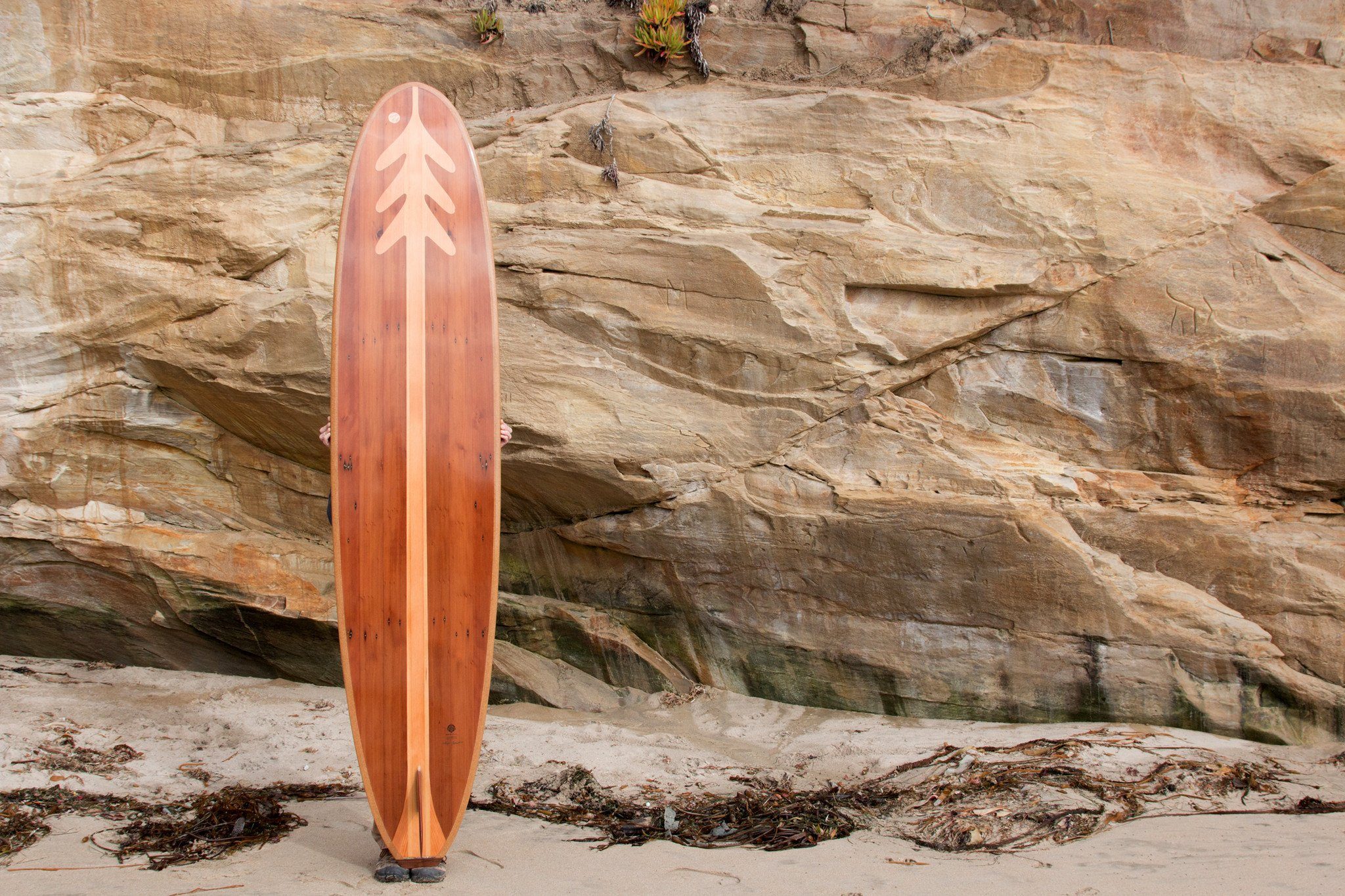 Surfboard - Redwood Treefish Longboard 9&